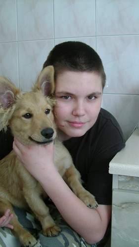 Mj piesek