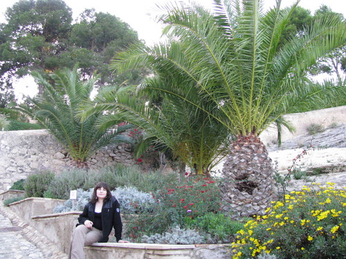 Alicante 
