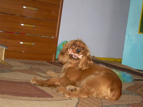 Sonia:)