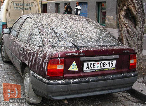 Nie ma to jak..