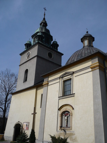Koci w rynku