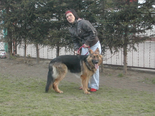a to 3 laska w rodzinie
