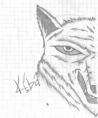 Kiba