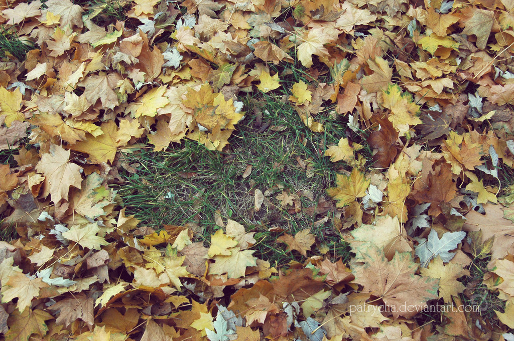 I love... autumn?