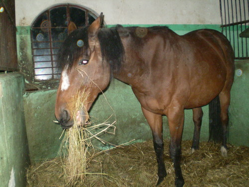 Neptunek:*:*:*