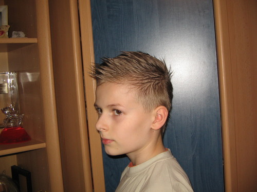 Z Domu