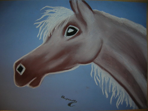 konik
