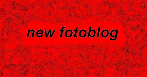 New Fotoblog Misia