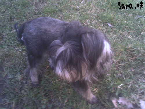Sara _.