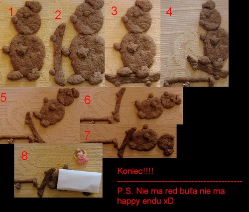 historia pewnego ciasteczkowego 