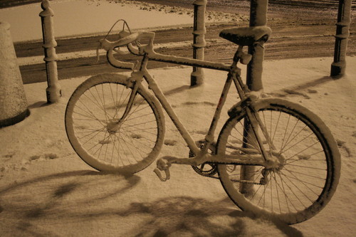 sanki, narty, ywy, rower