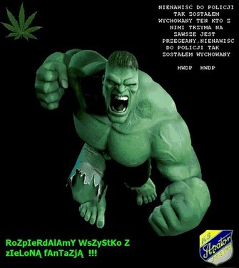 nienawisc do policji