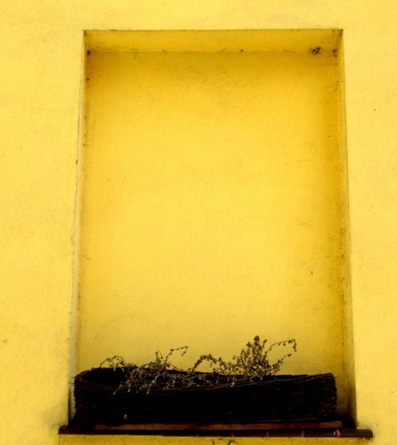 Window- by me ;)