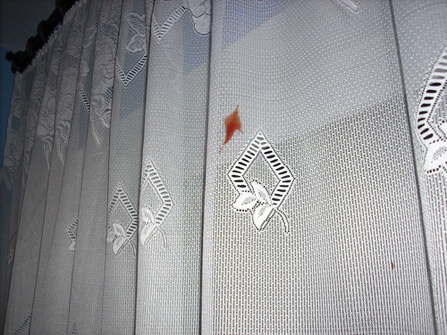 ketchup:P