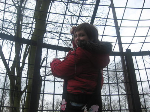 zoo 