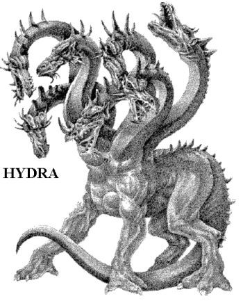 Hydra