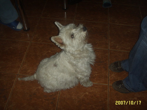 fotka 5