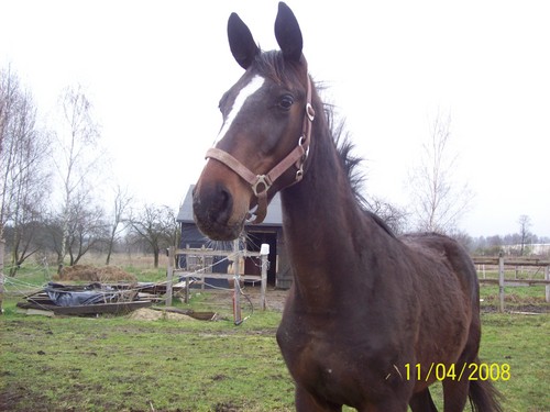 Moj kochany kuba:*