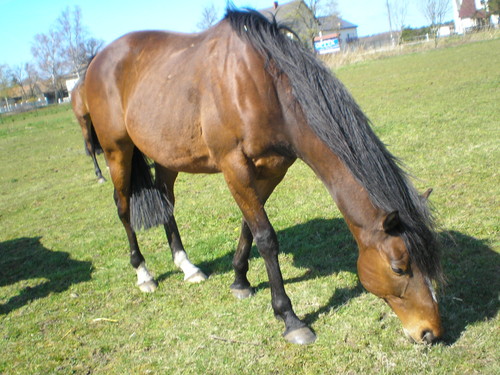 Neptun:*:*:*