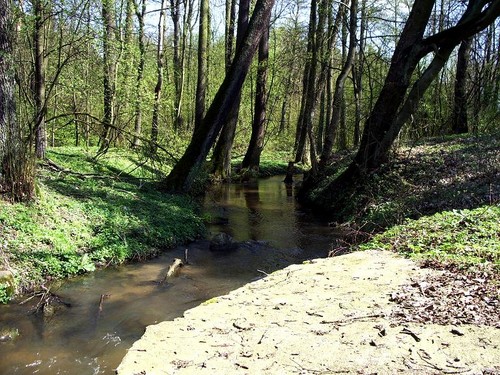 strumyk