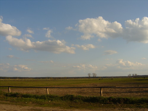 chmurki nad ranczem dajana