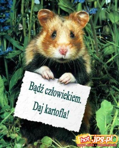 Heh:D