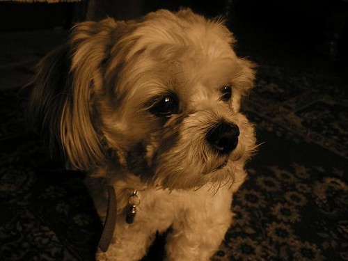 moj malutka Alutka ;* ;* 