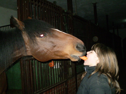 Ja z Nepim:*:*:*
