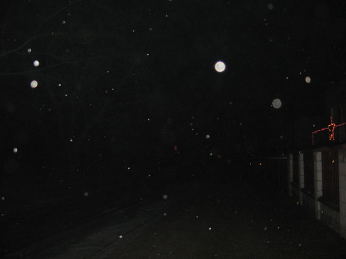 Snieg, Alone in the dark