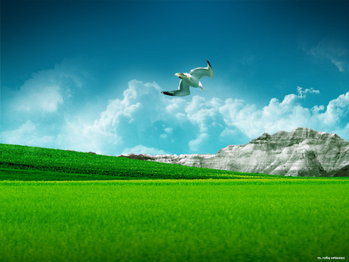 dreams...