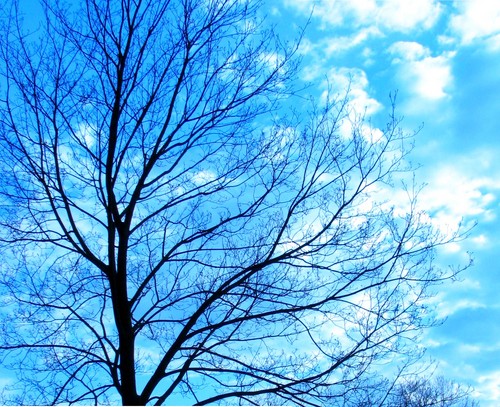 turning blue