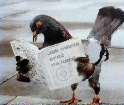 jaka fota