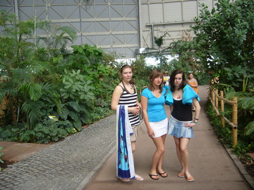 Tropical Island