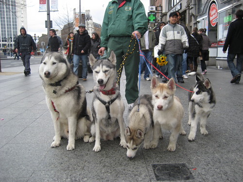 HUskY