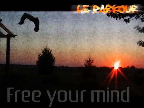 free your mind
