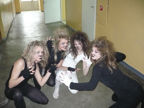 loczek,korol,alin,klaud