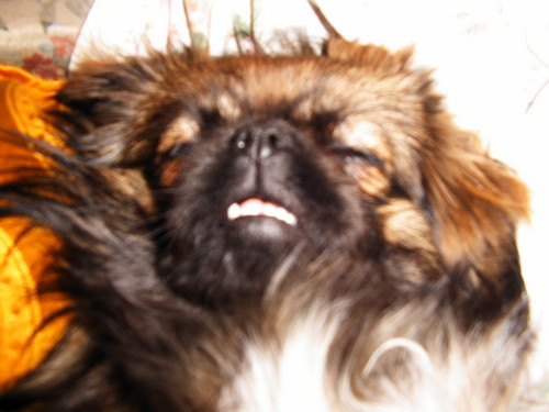 lola:)