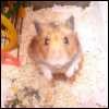 CHOMICZEK :* POZDERKI !!!!!!!!!!