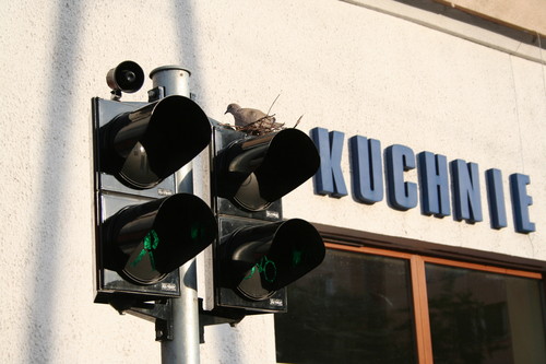 mieszkanie w centrum