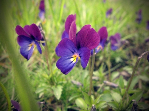 Passion... Colors... Everything!