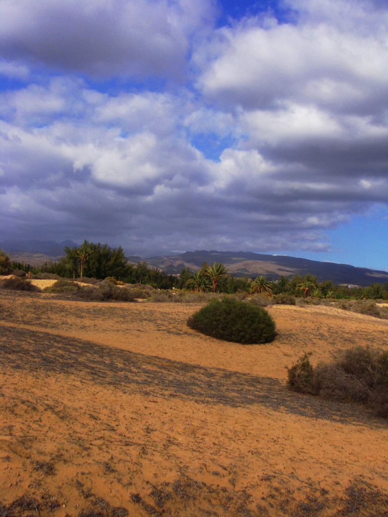 Gran Canaria.