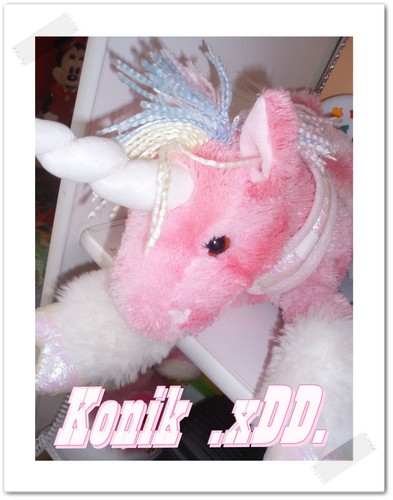 Konik .xDD.