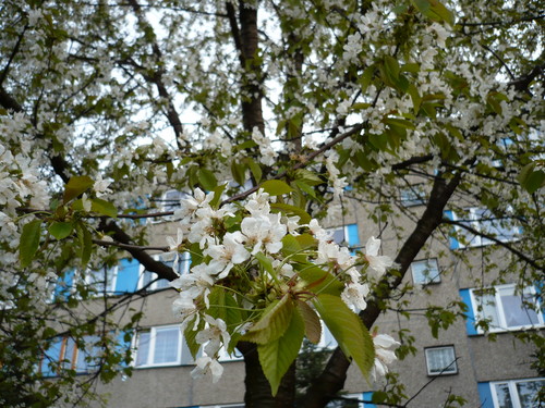 Natura i...