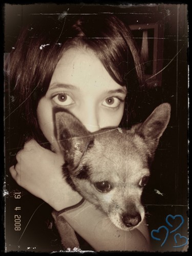 looolxD
