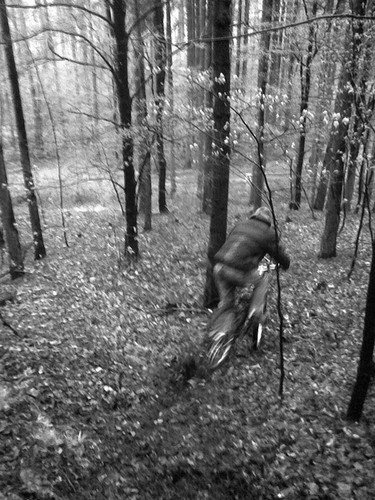 MTB