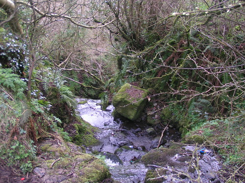 Northern Ireland