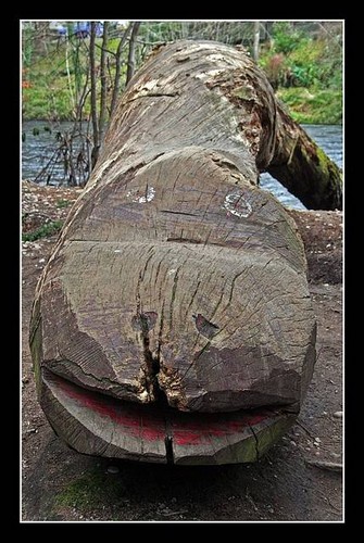 Nessie