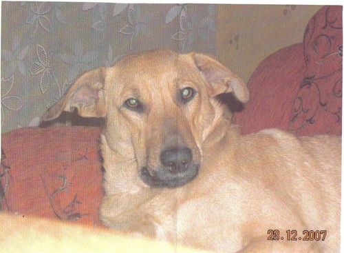 Fiona