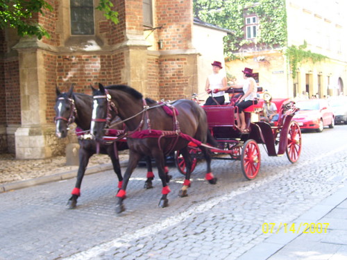 z Krakowa
