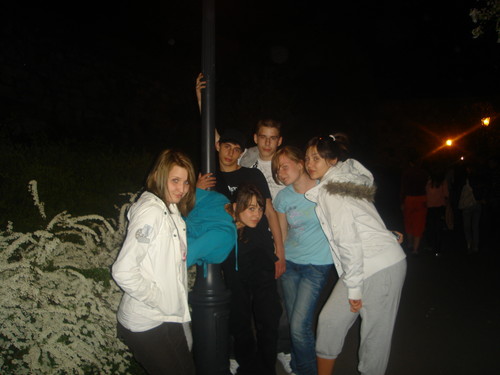 NoCnE zDicIe